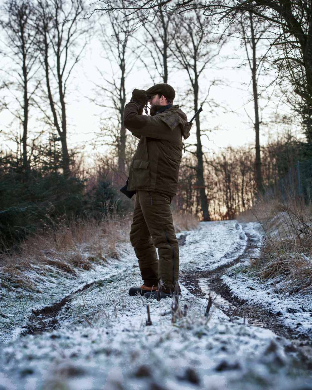 Grizzly Brown Coloured Seeland Dog Active Jacket On A Forest Background 