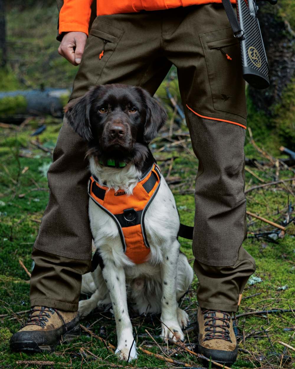 Pine Green/Hi-Vis Orange Coloured Seeland Venture Trousers On A Forest Background