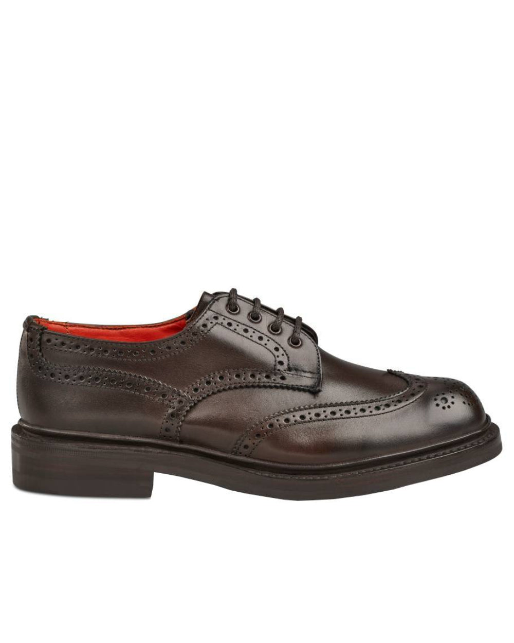 Espresso Burnished Coloured Trickers Anne Leather Sole Brogue Country Shoe On A White Background 