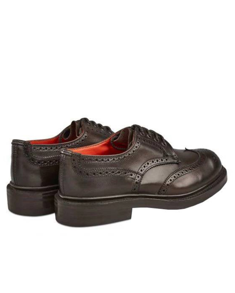 Espresso Burnished Coloured Trickers Anne Leather Sole Brogue Country Shoe On A White Background 