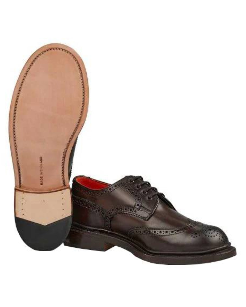 Espresso Burnished Coloured Trickers Anne Leather Sole Brogue Country Shoe On A White Background 