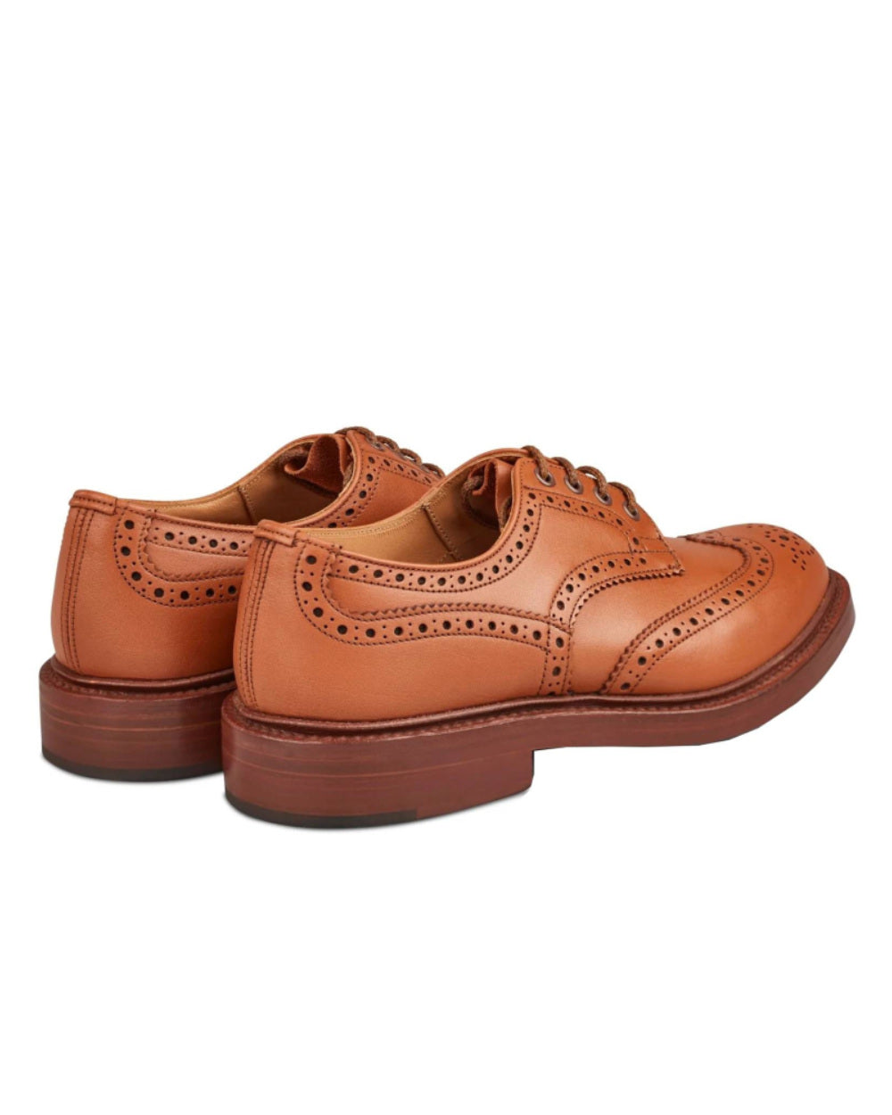 Tan Coloured Trickers Bourton Country Shoe On A White Background 
