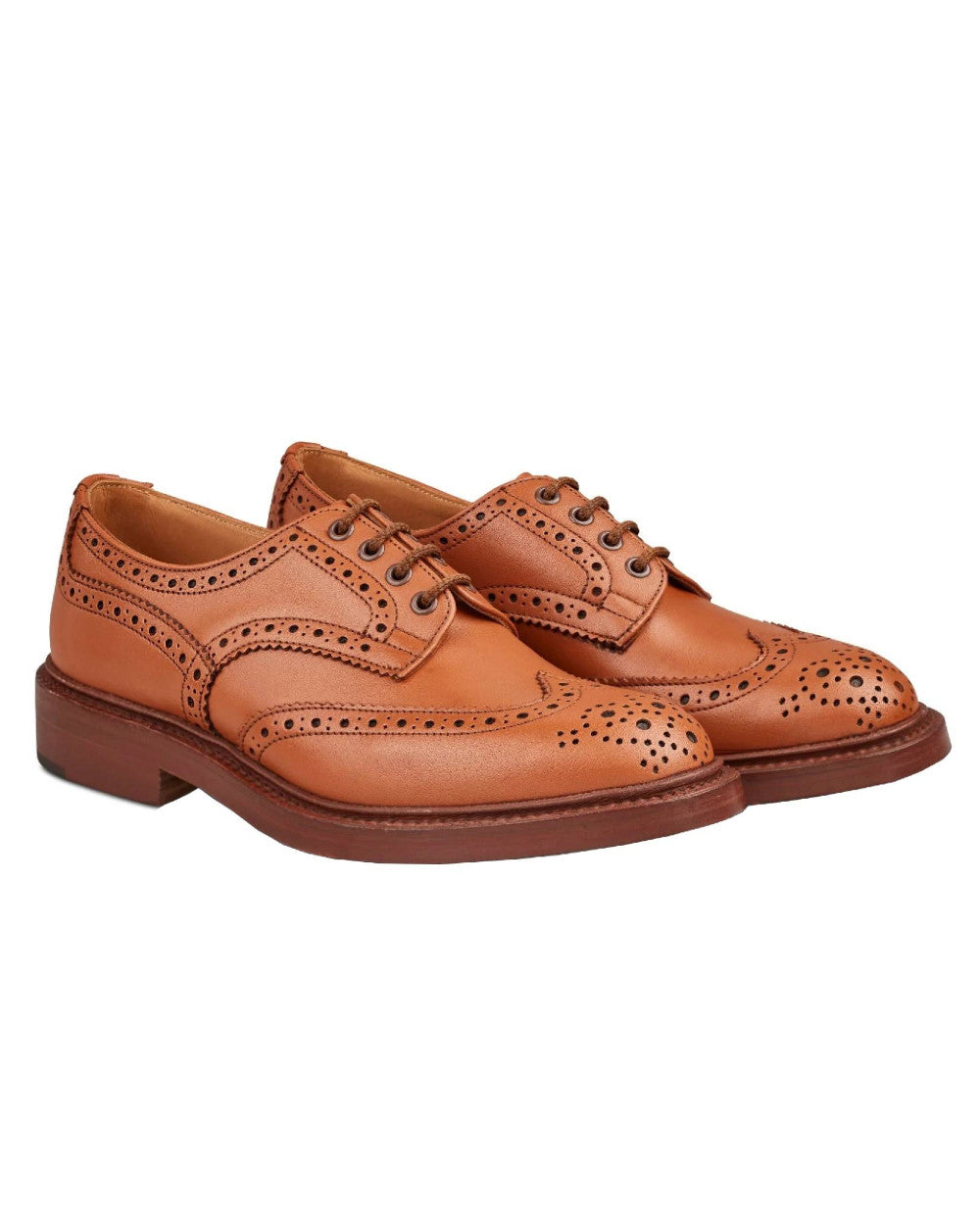 Tan Coloured Trickers Bourton Country Shoe On A White Background 