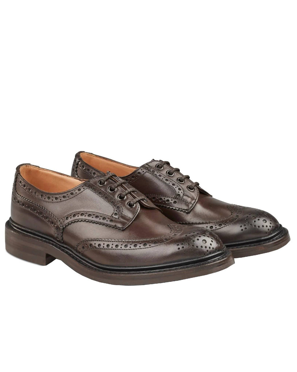 Espresso Burnished Coloured Trickers Bourton Country Shoe On A White Background 