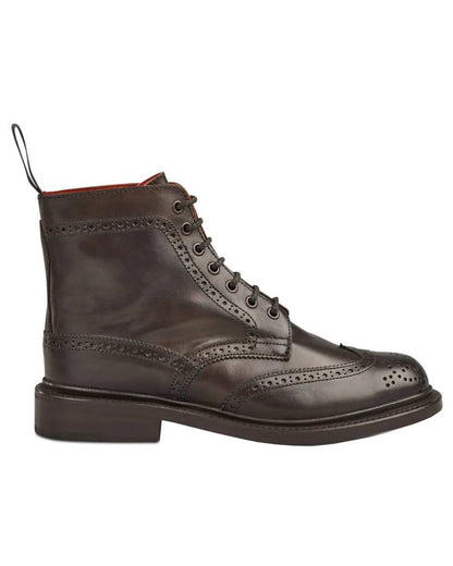 Espresso Burnished Coloured Trickers Stephy Brogue Boot On A White Background 