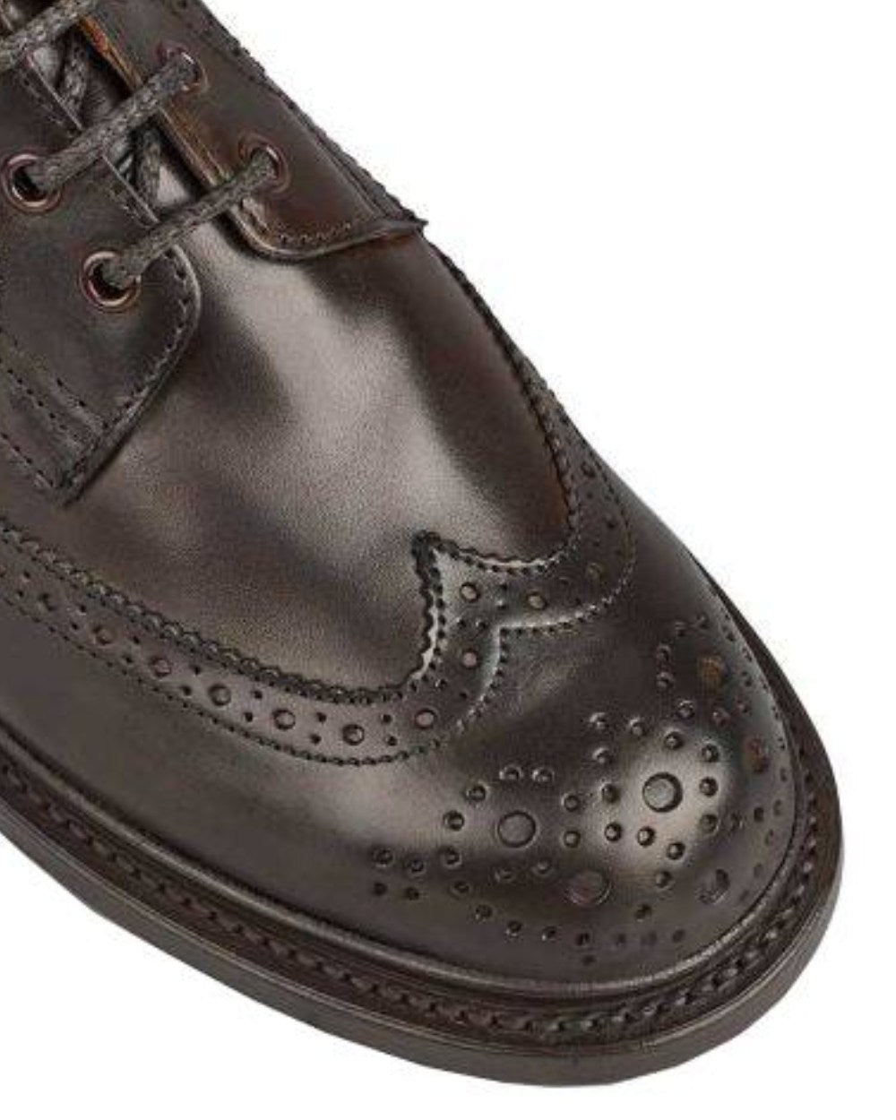Espresso Burnished Coloured Trickers Stephy Brogue Boot On A White Background 