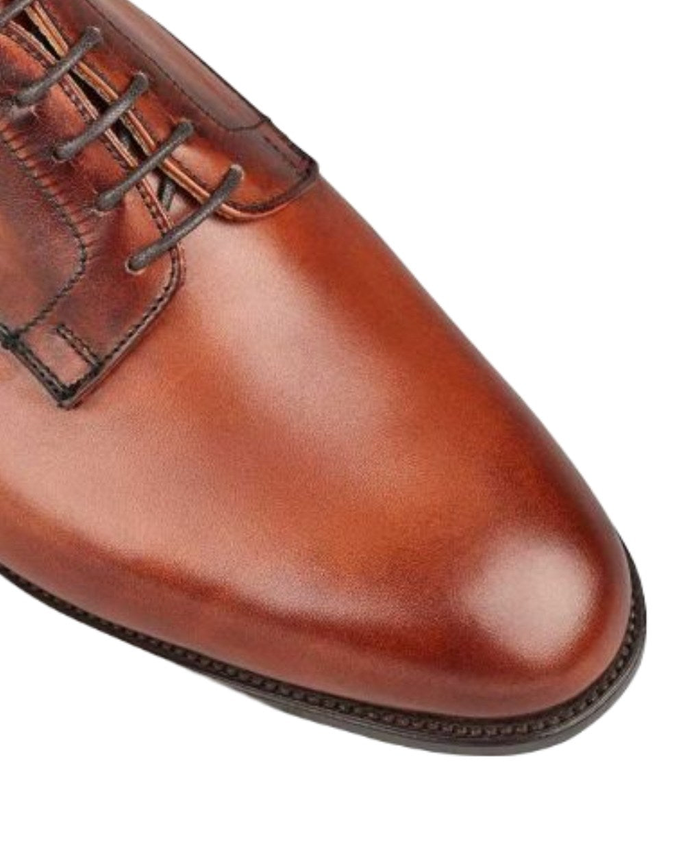 Chestnut Coloured Trickers Wiltshire Plain Derby City Shoe On A White Background 
