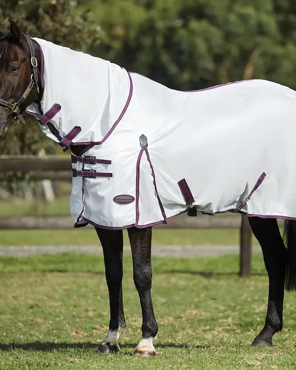 White Maroon Grey coloured WeatherBeeta ComFiTec Essential Mesh II Combo Neck on field background 