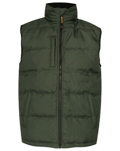 Green Coloured Xpert Mens Core Padded Work Bodywarmer on White Background
