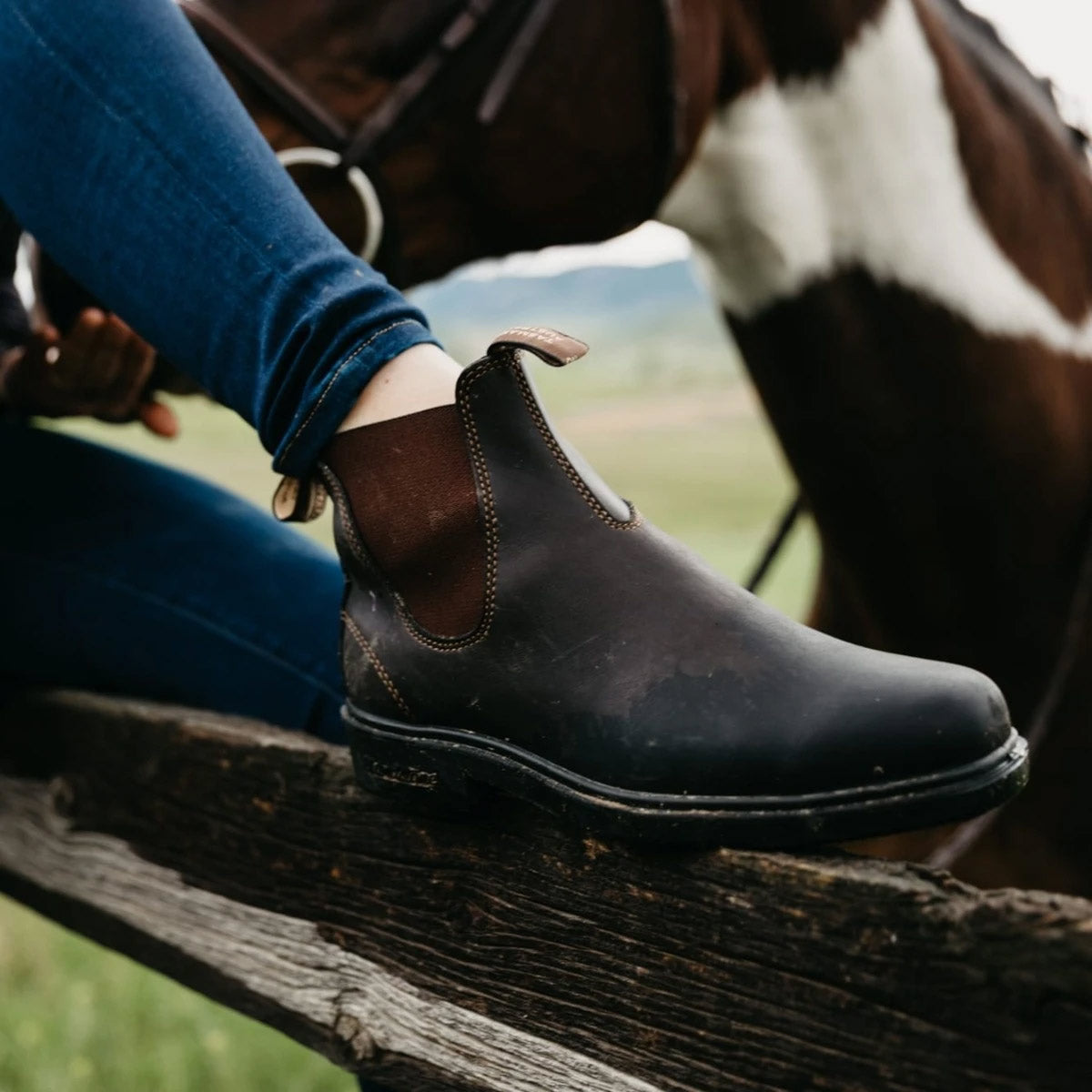 Blundstone 062 Stout Brown Chelsea Boots