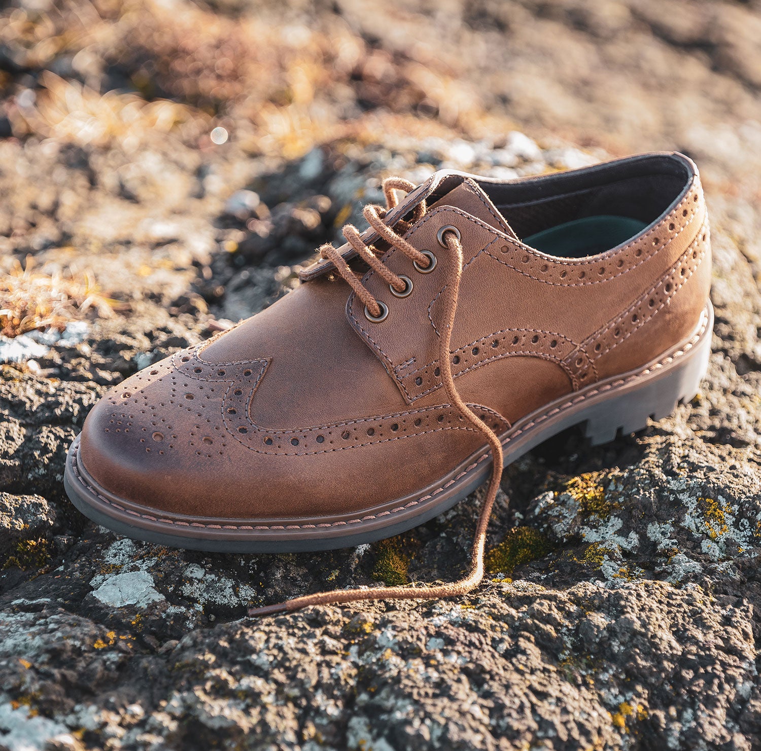 Brown Hoggs Inverurie Waxy Leather Brogue Shoe 