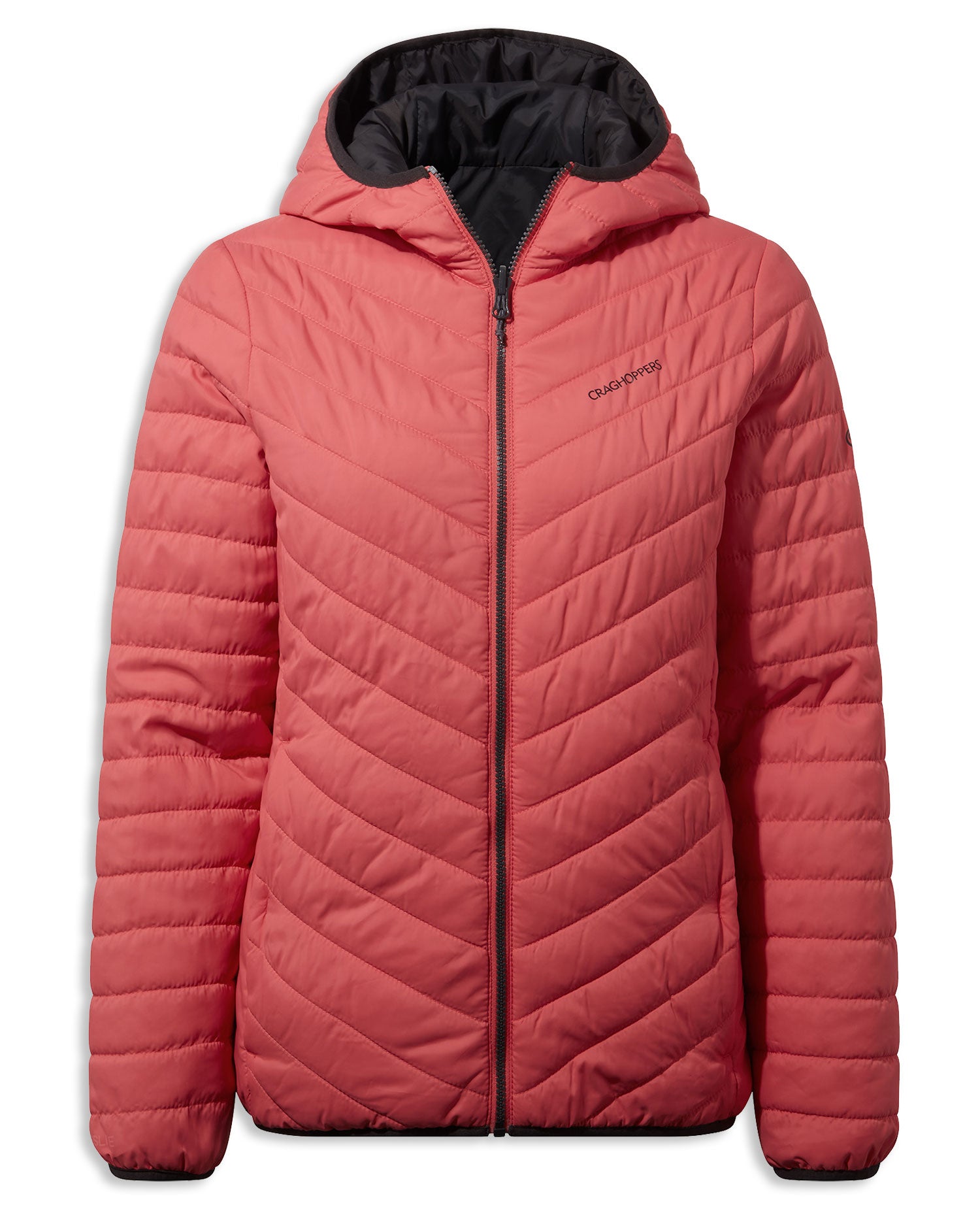 Craghoppers ladies hot sale compresslite jacket