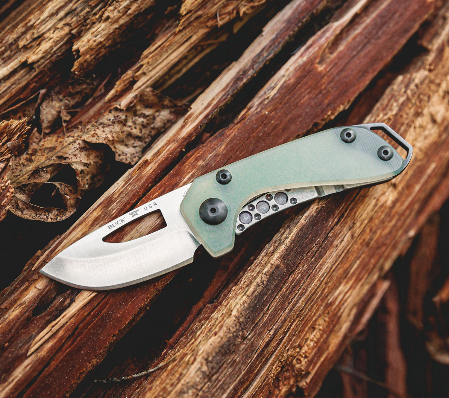 Folding lock 417 Budgie Folding Knife by Buck Knives  