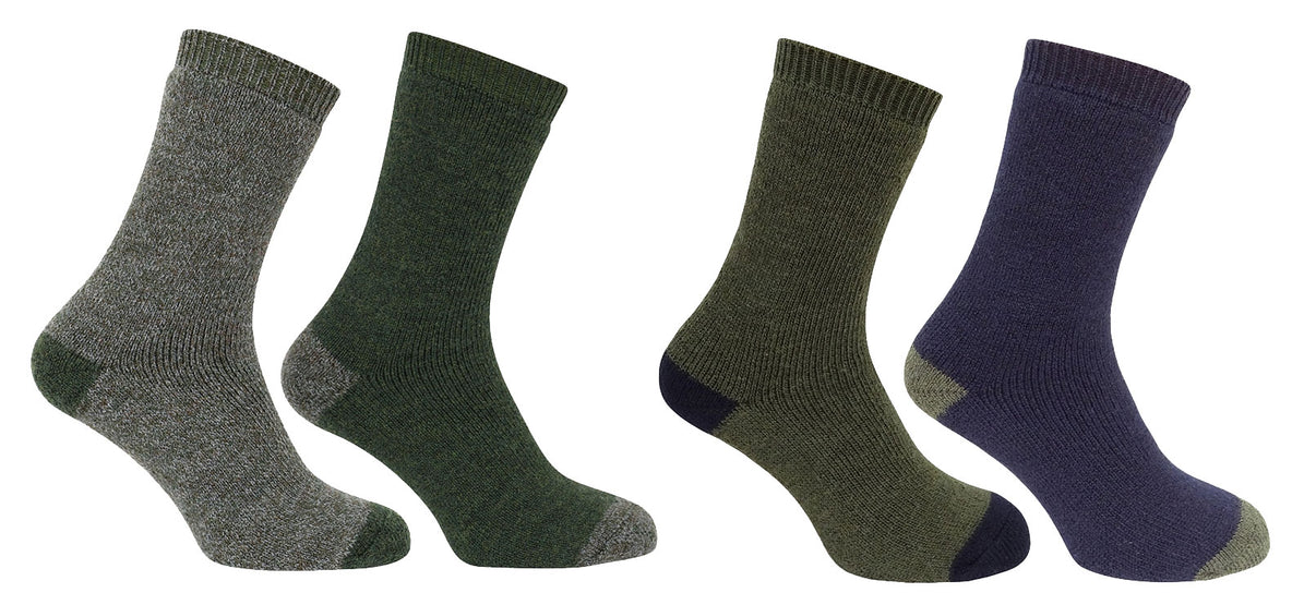 Hoggs of Fife Country Short Socks | Twin Pack
