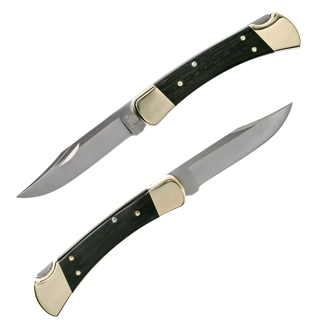 Buck Folding Hunter Knife