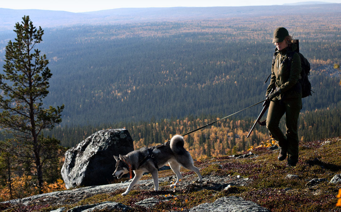 Rifle hunting with dogs
