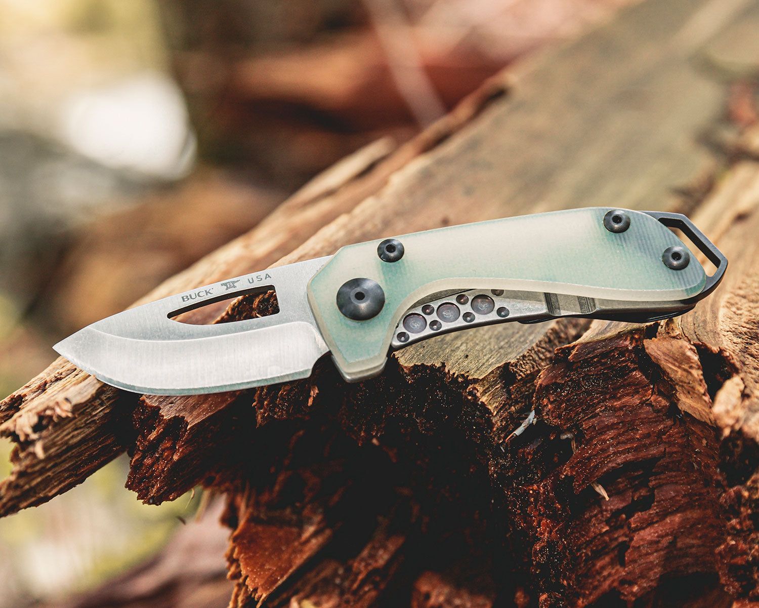 417 Budgie Folding Knife by Buck Knives  