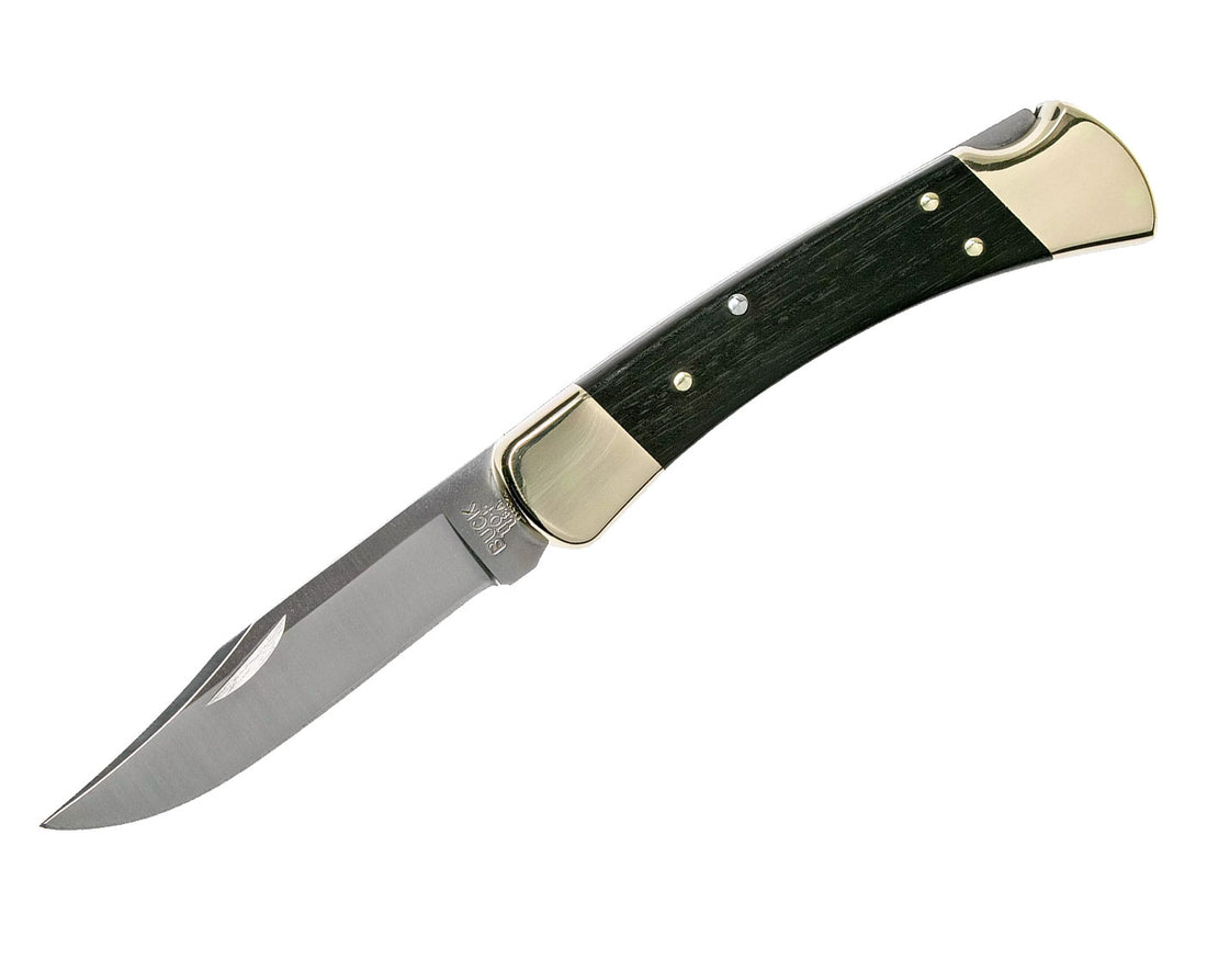 Buck Folding Hunter Knife