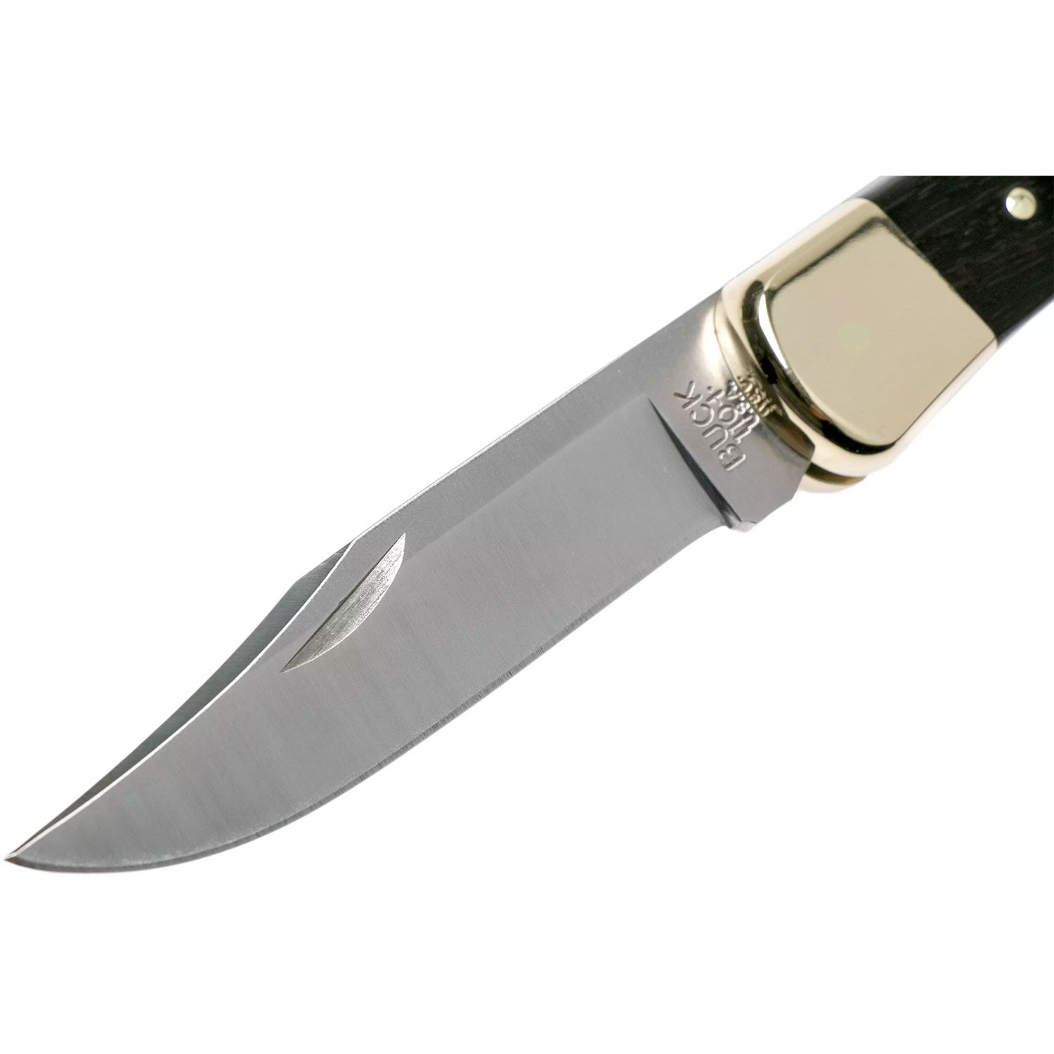 Buck Folding Hunter Knife