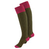 Alan Paine Ladies Shooting Socks in Pink & Olive