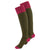 Alan Paine Ladies Shooting Socks in Pink & Olive