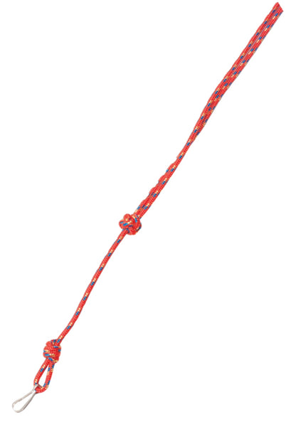Bisley Multicoloured Lanyards In Red
