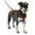 Halti Comfy Harness in Red