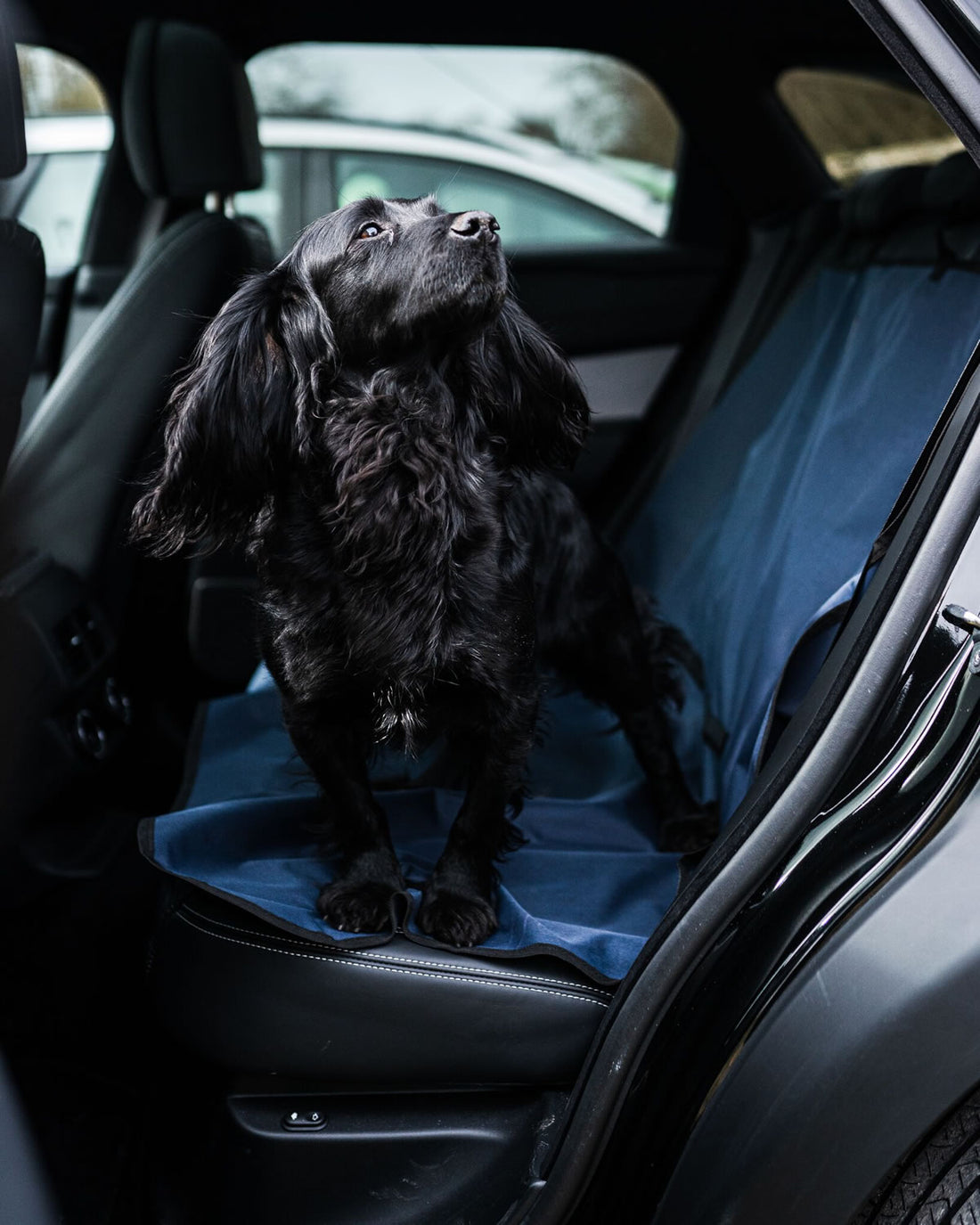 Danish Design Car Seat Cover in Navy