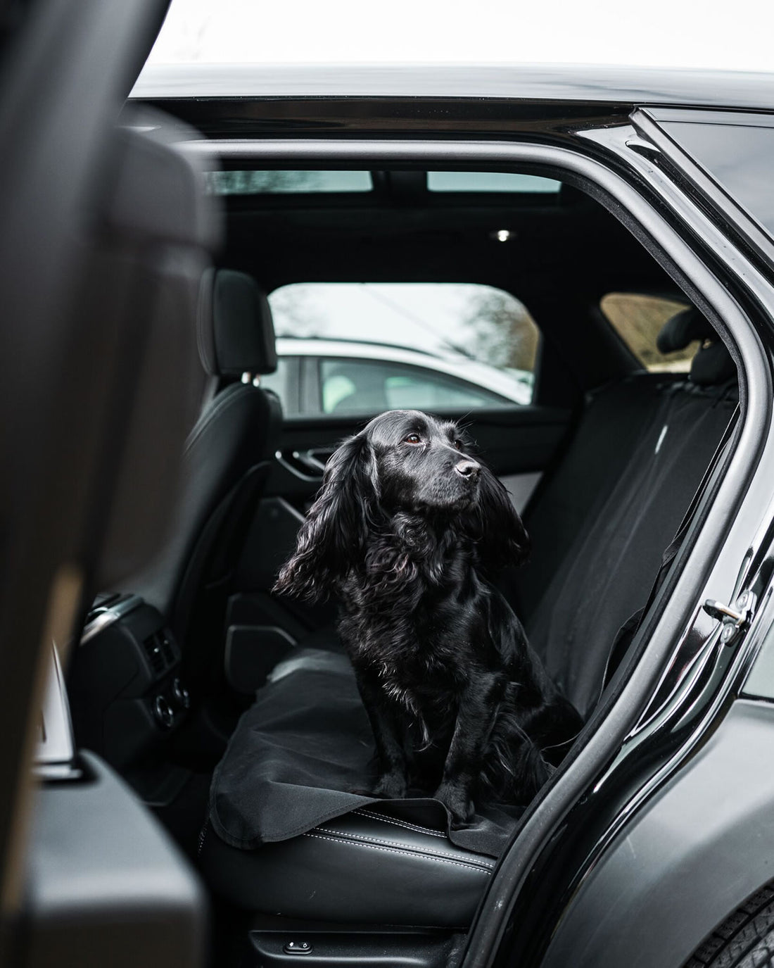 Danish Design Car Seat Cover in Grey