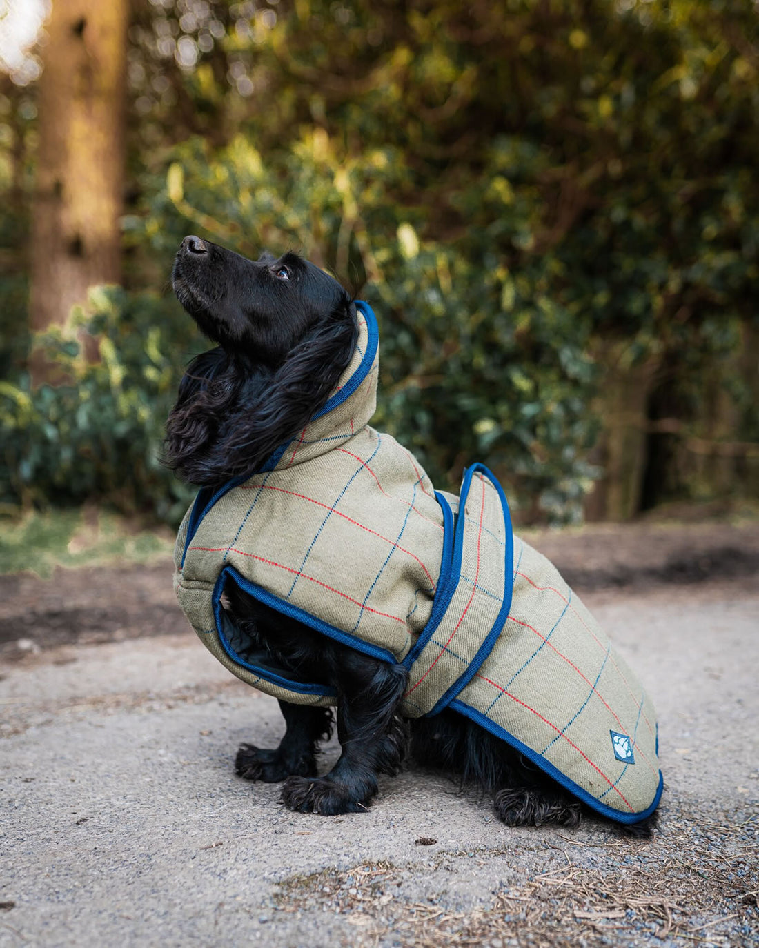 Danish Design Tweed Dog Coat in Green