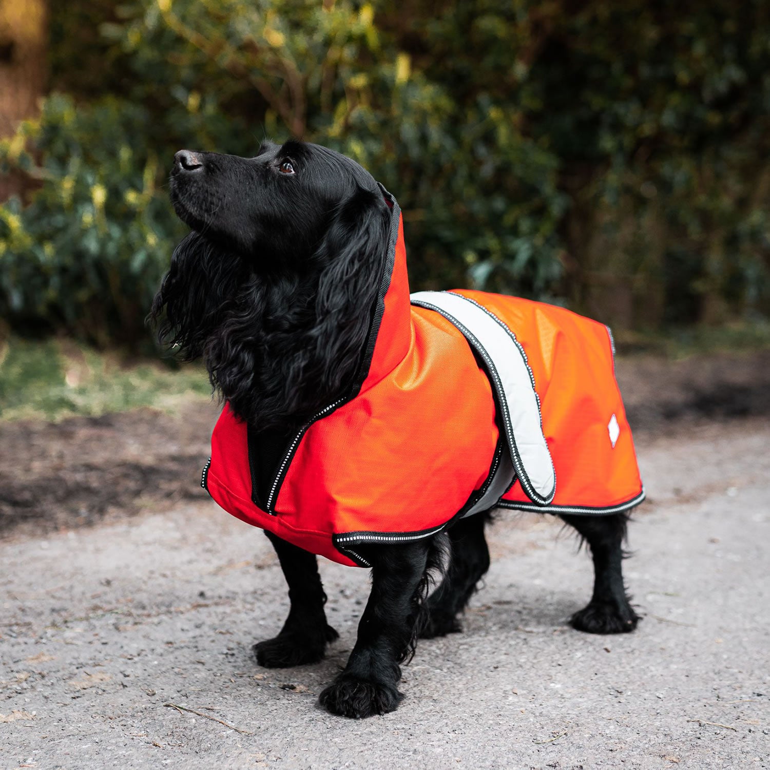 Danish Design Ultimate 2 In 1 Dog Coat in Orange 