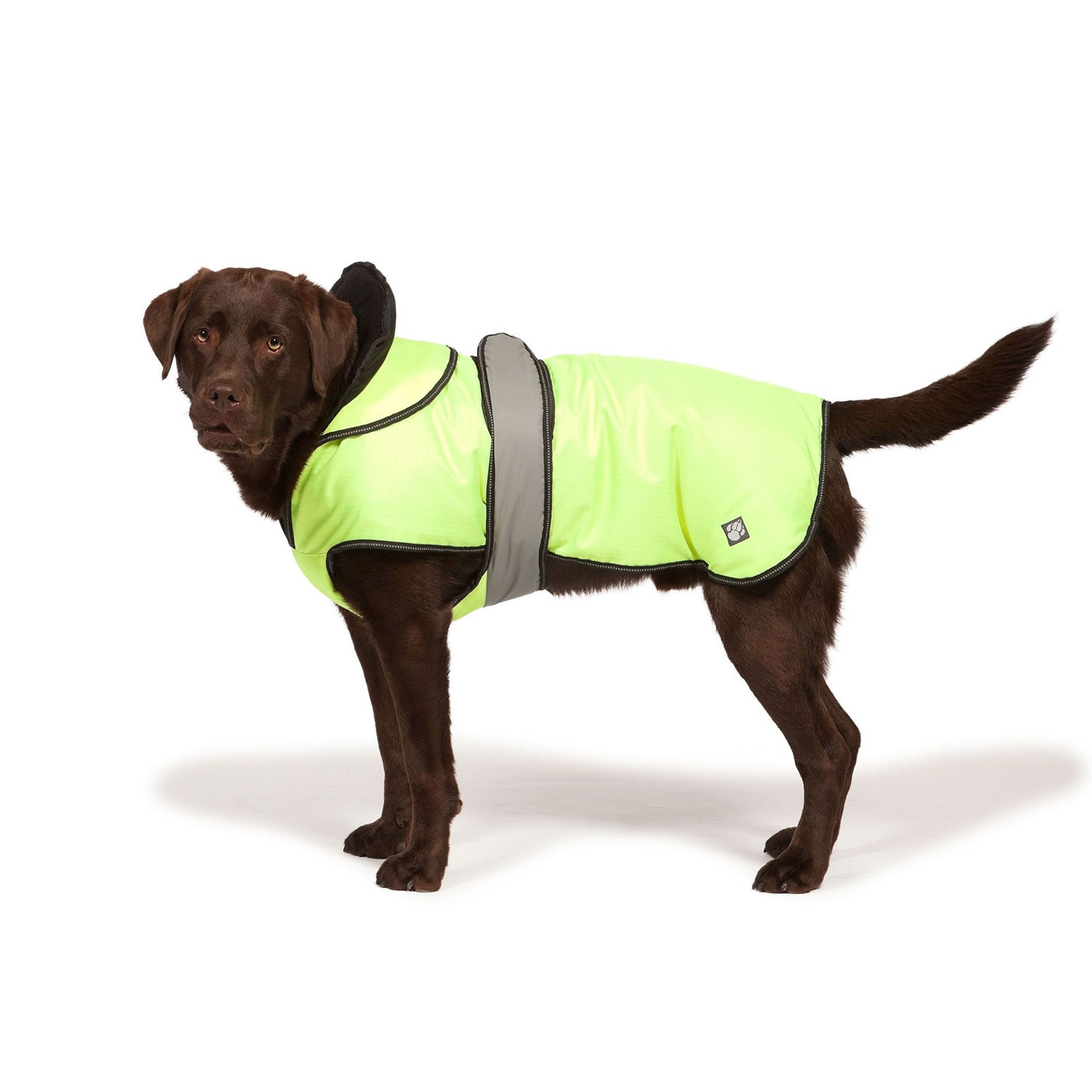 Danish Design Ultimate 2 In 1 Dog Coat in Hi Vis Yellow 