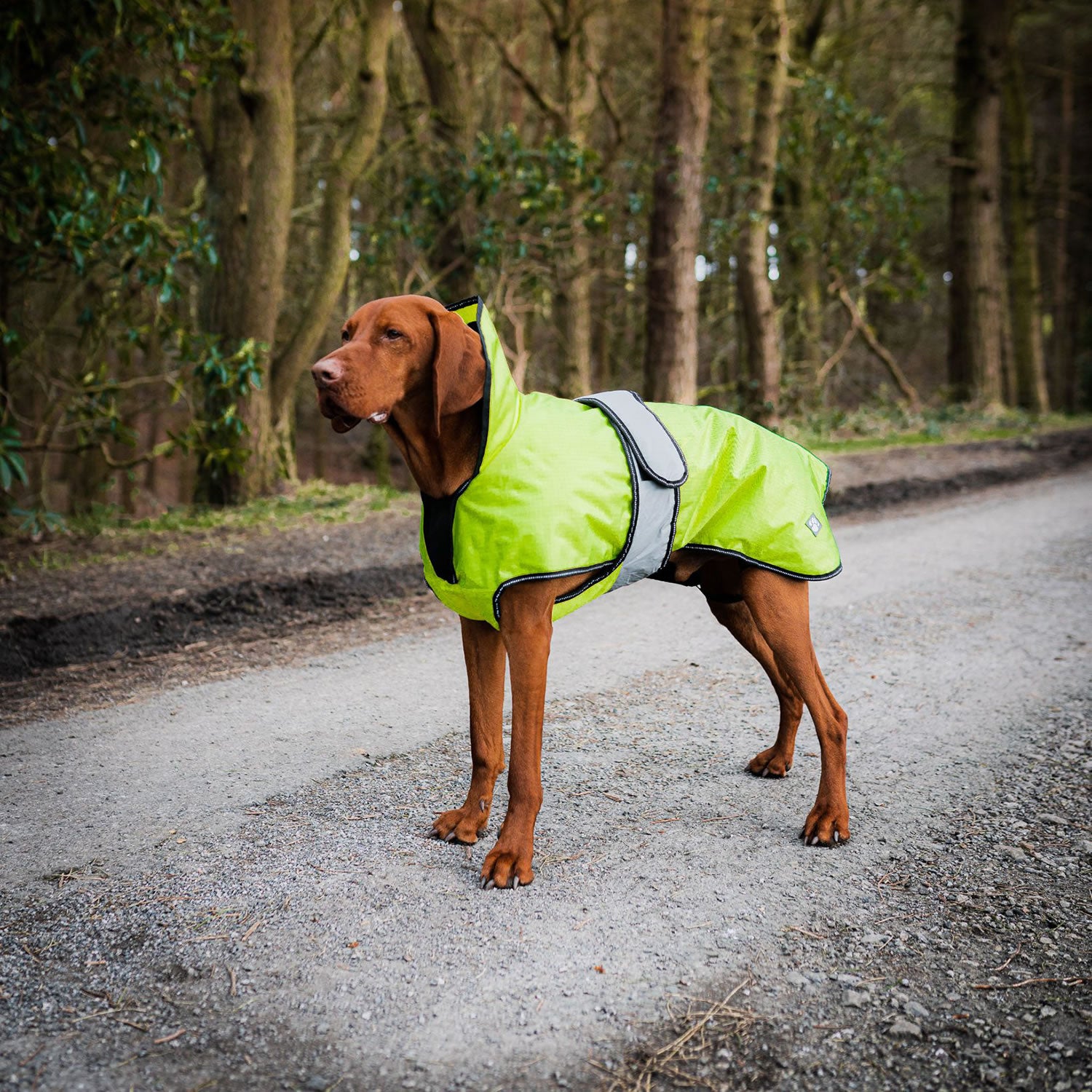 Danish Design Ultimate 2 In 1 Dog Coat in Hi Vis Yellow