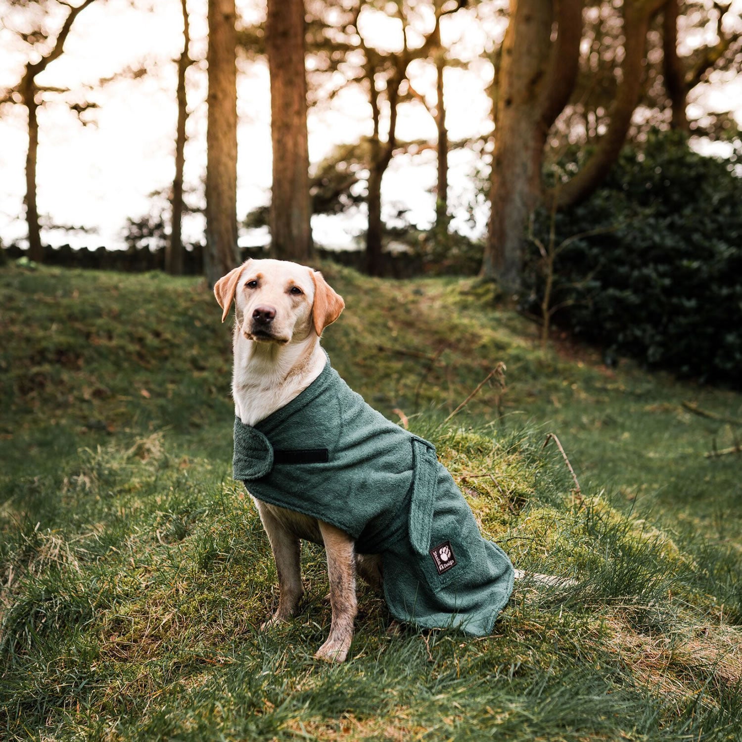 Danish Design Dog Robe Towelling in Green