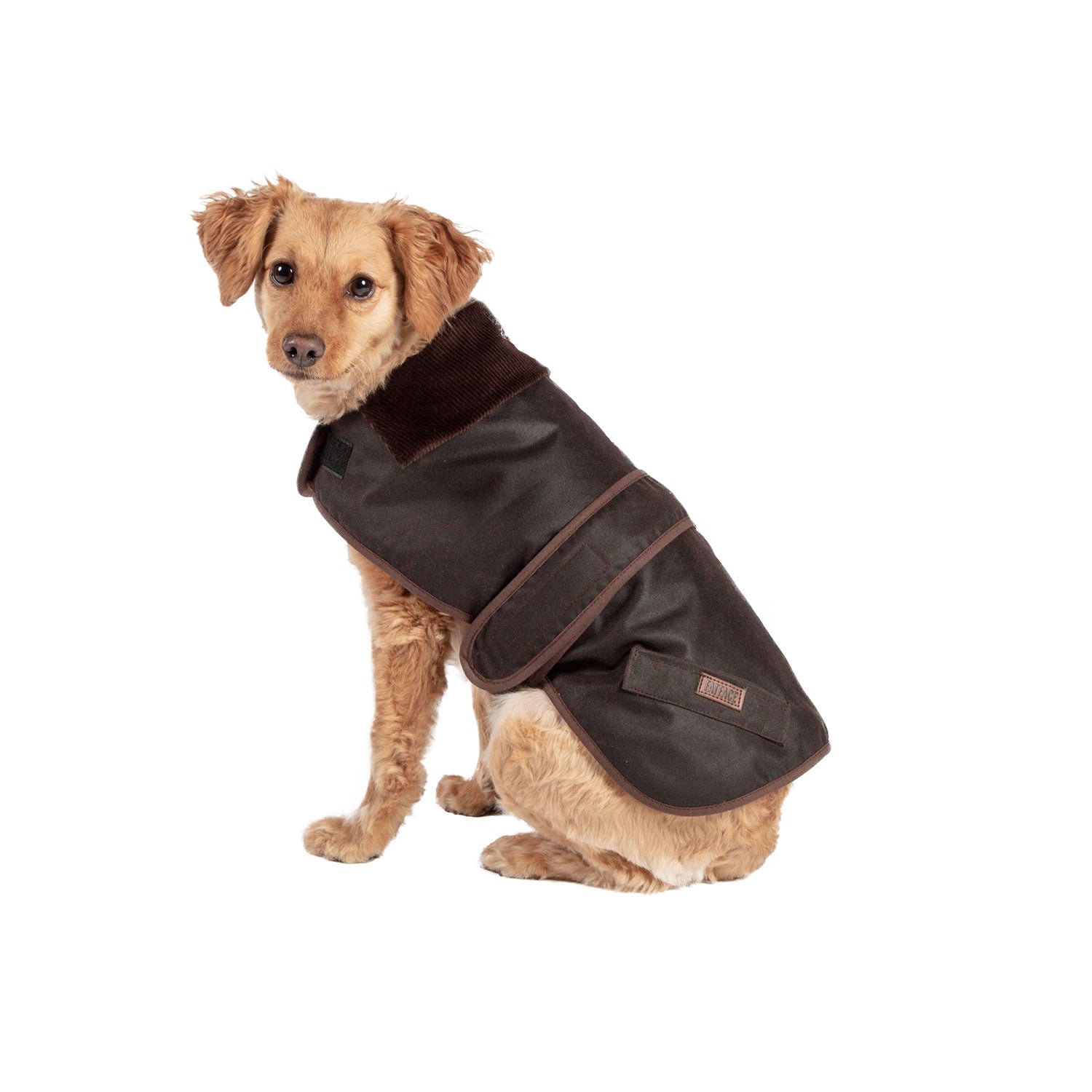 Danish Design Fatface Sussex Dog Coat in Chocolate