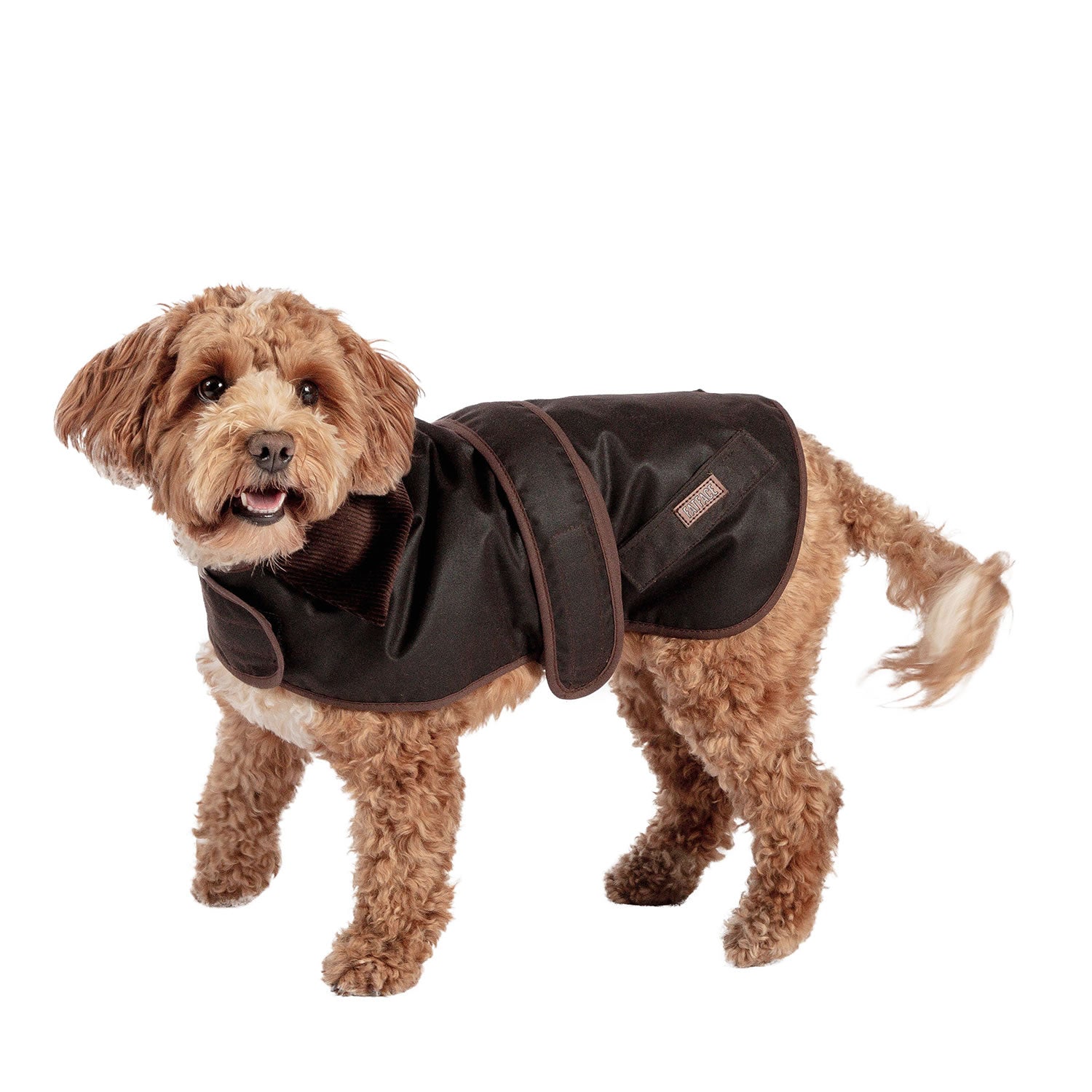 Danish Design Fatface Sussex Dog Coat in Chocolate