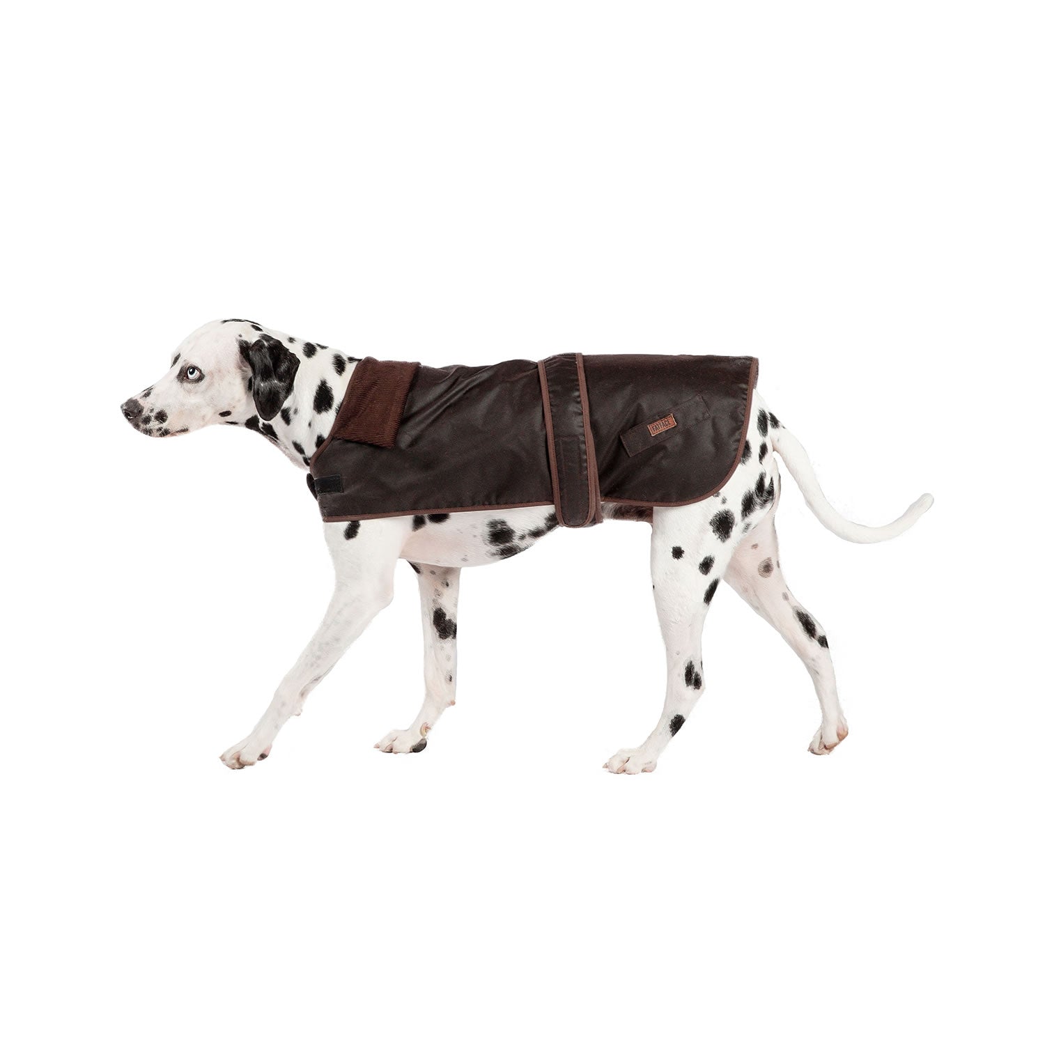 Danish Design Fatface Sussex Dog Coat in Chocolate