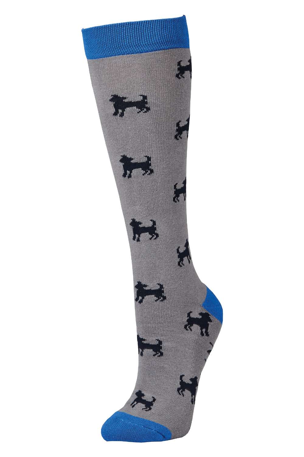 Dublin Single Pack Socks- Cobalt Dog 