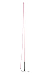 Dublin Brights Lunge Whip In Hot Pink