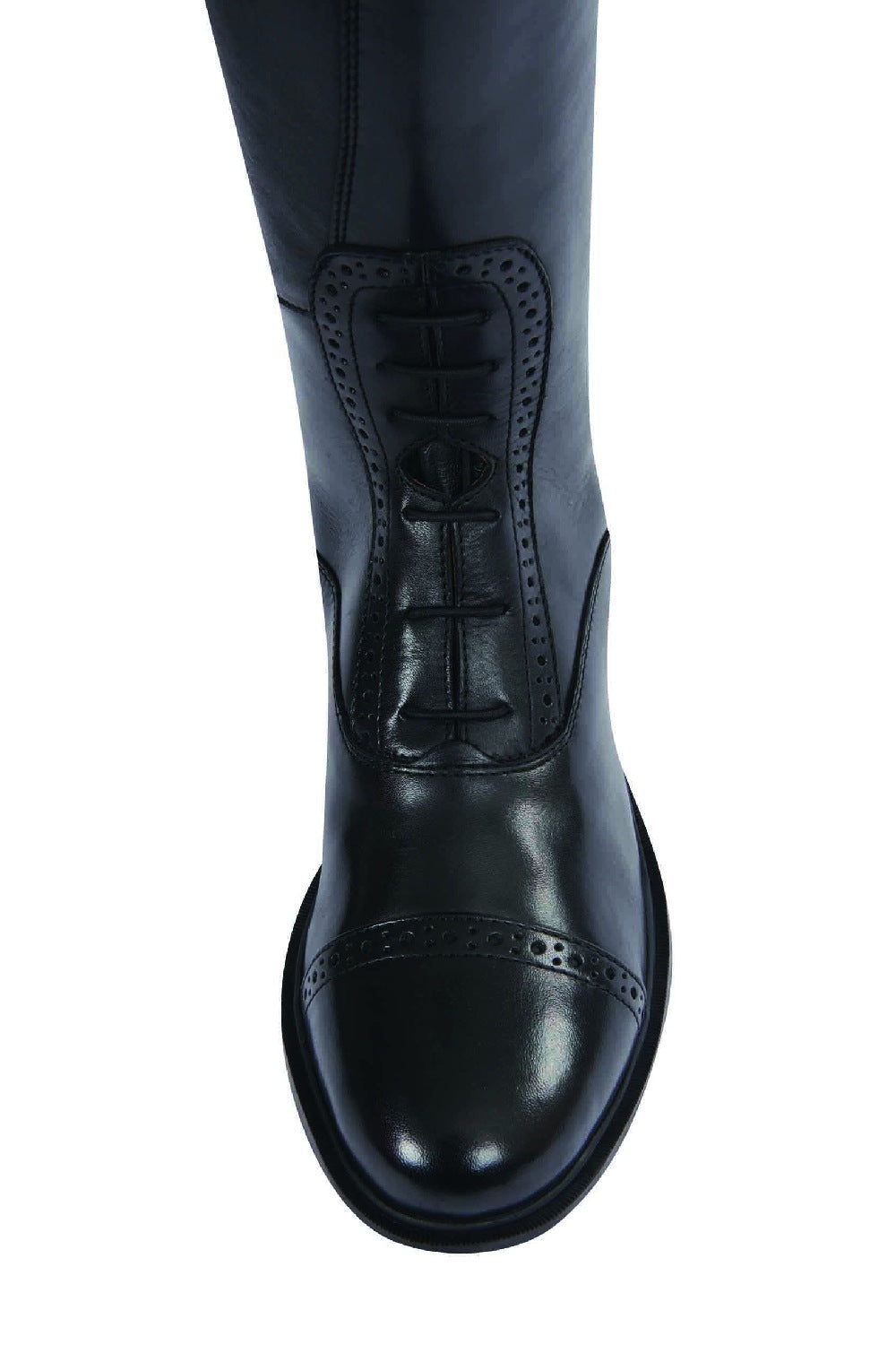 Dublin Evolution Tall Field Boots in Black