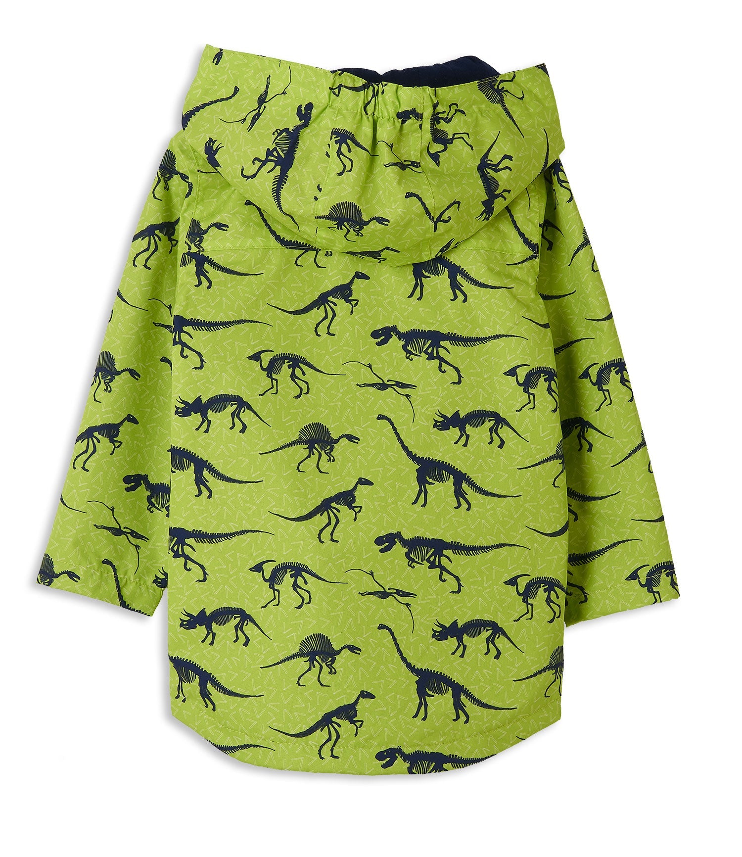 Lighthouse Boys Ethan Waterproof Jacket in Dinosaur Print 