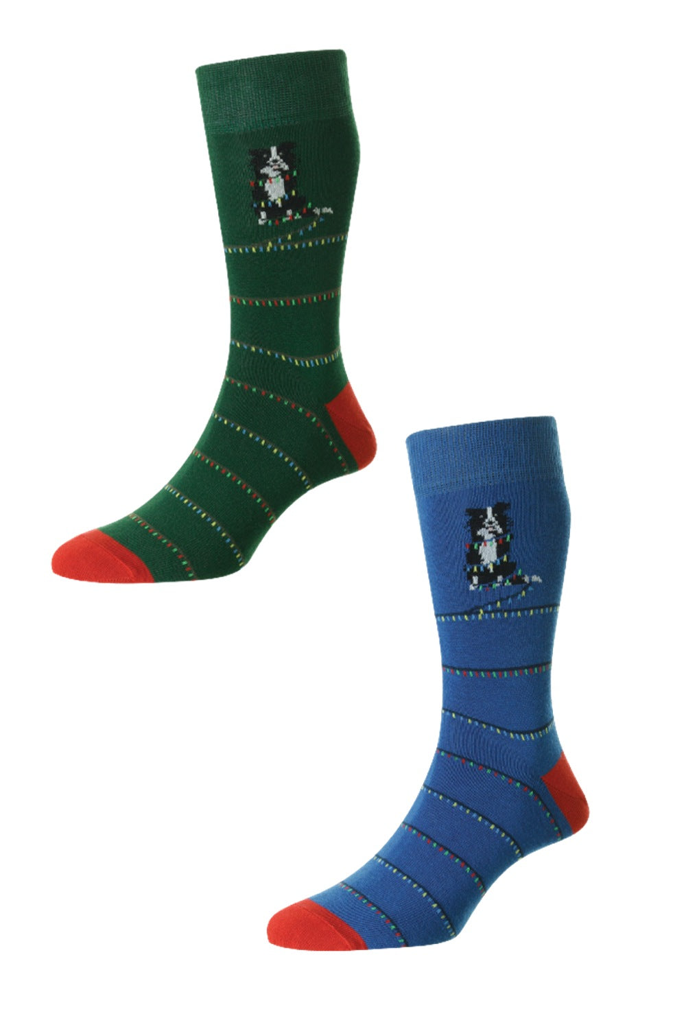 HJ Hall Dog With Christmas Lights Cotton Rich Socks in Forest Green and Royal Blue