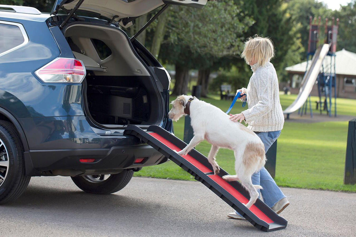 Henry Wag Lightweight Folding Pet Ramp in Black/Red