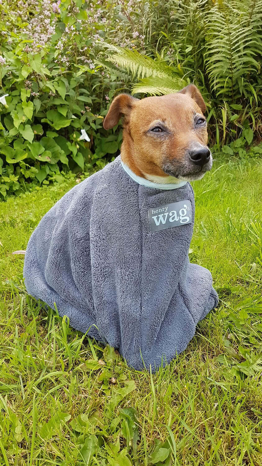 Henry Wag Drying Bag in Grey