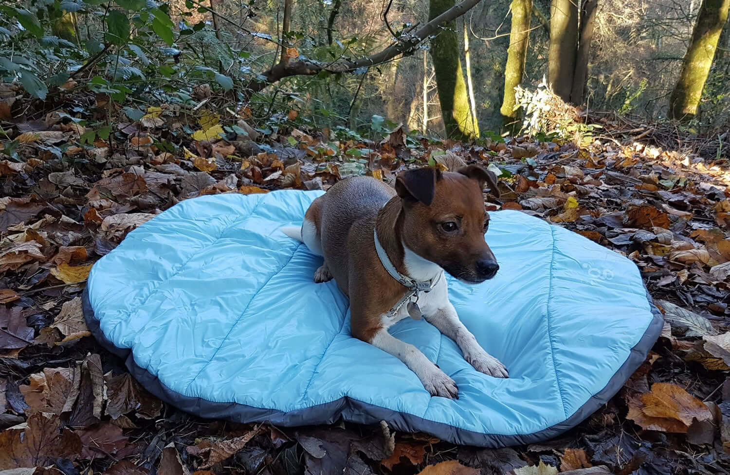 Henry Wag Alpine Travel Snuggle Bed In Blue