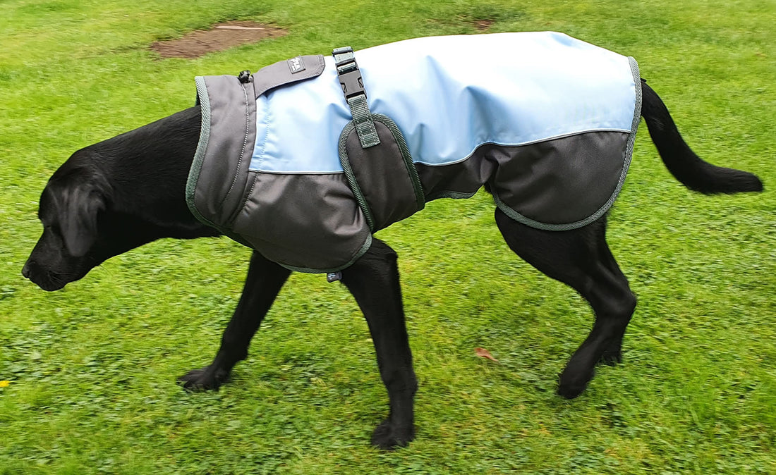 Henry Wag Waterproof Dog Coat