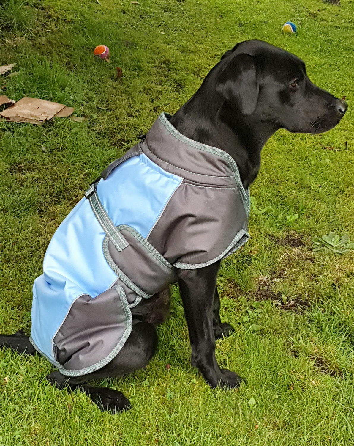 Henry Wag Waterproof Dog Coat