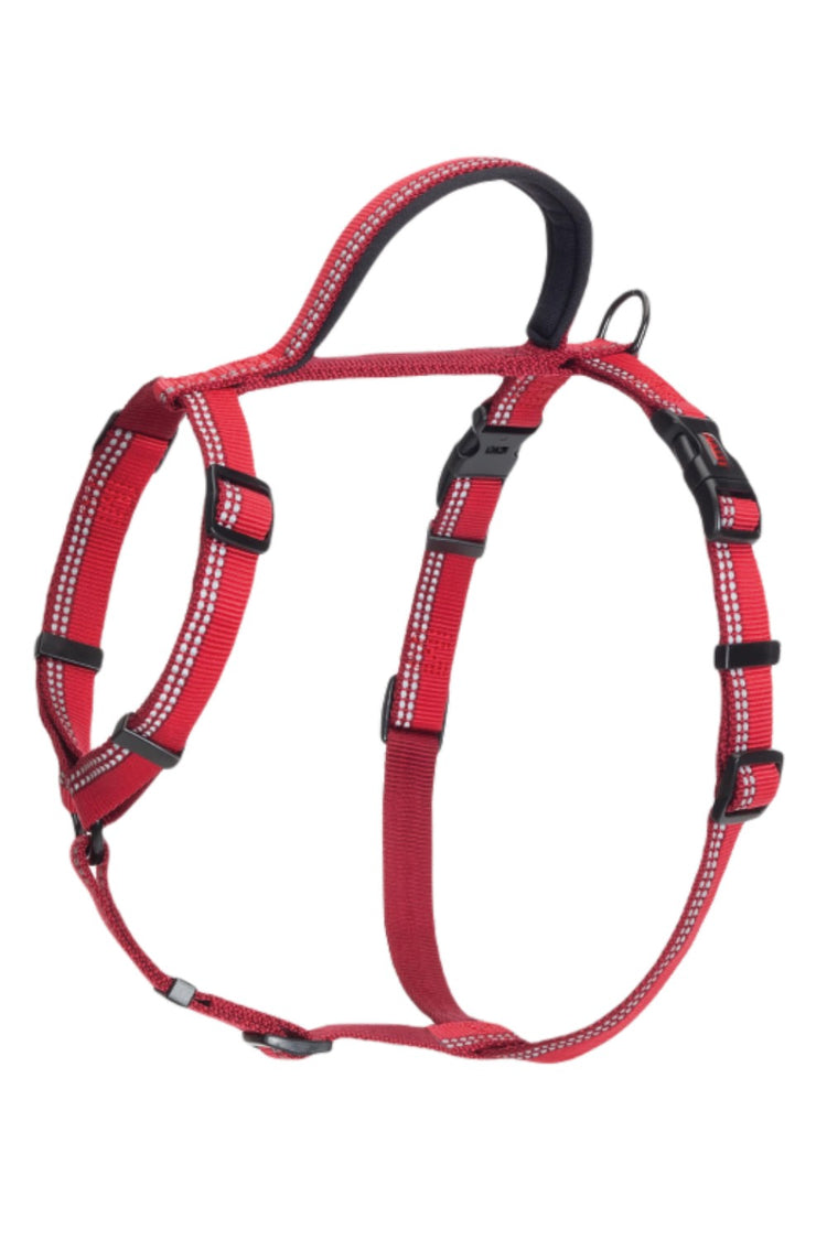 Halti Walking Harness