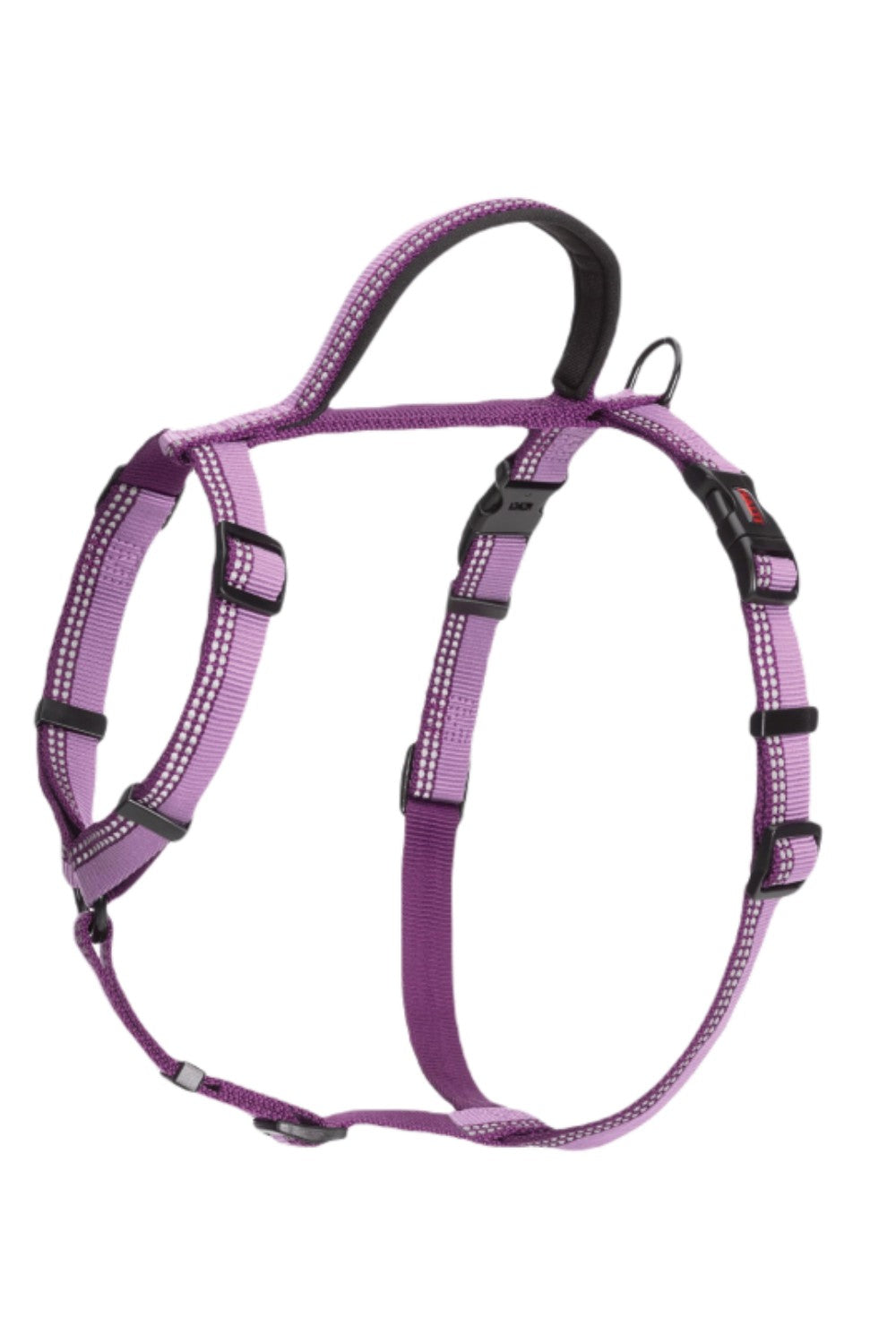 Halti Walking Harness In Purple