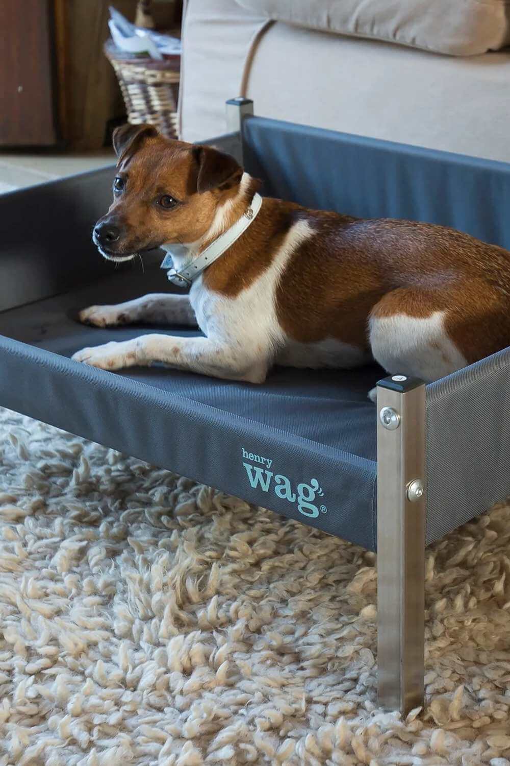 Henry Wag Elevated Dog Bed in Grey/Black